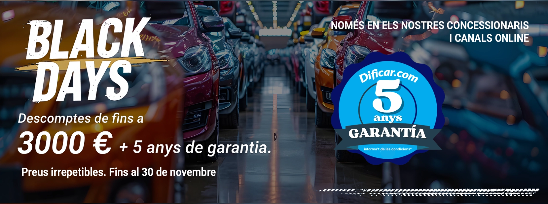 black days dificar ocasion.webp